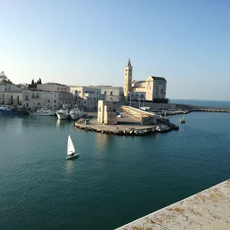 No Tag Urban 3* Trani